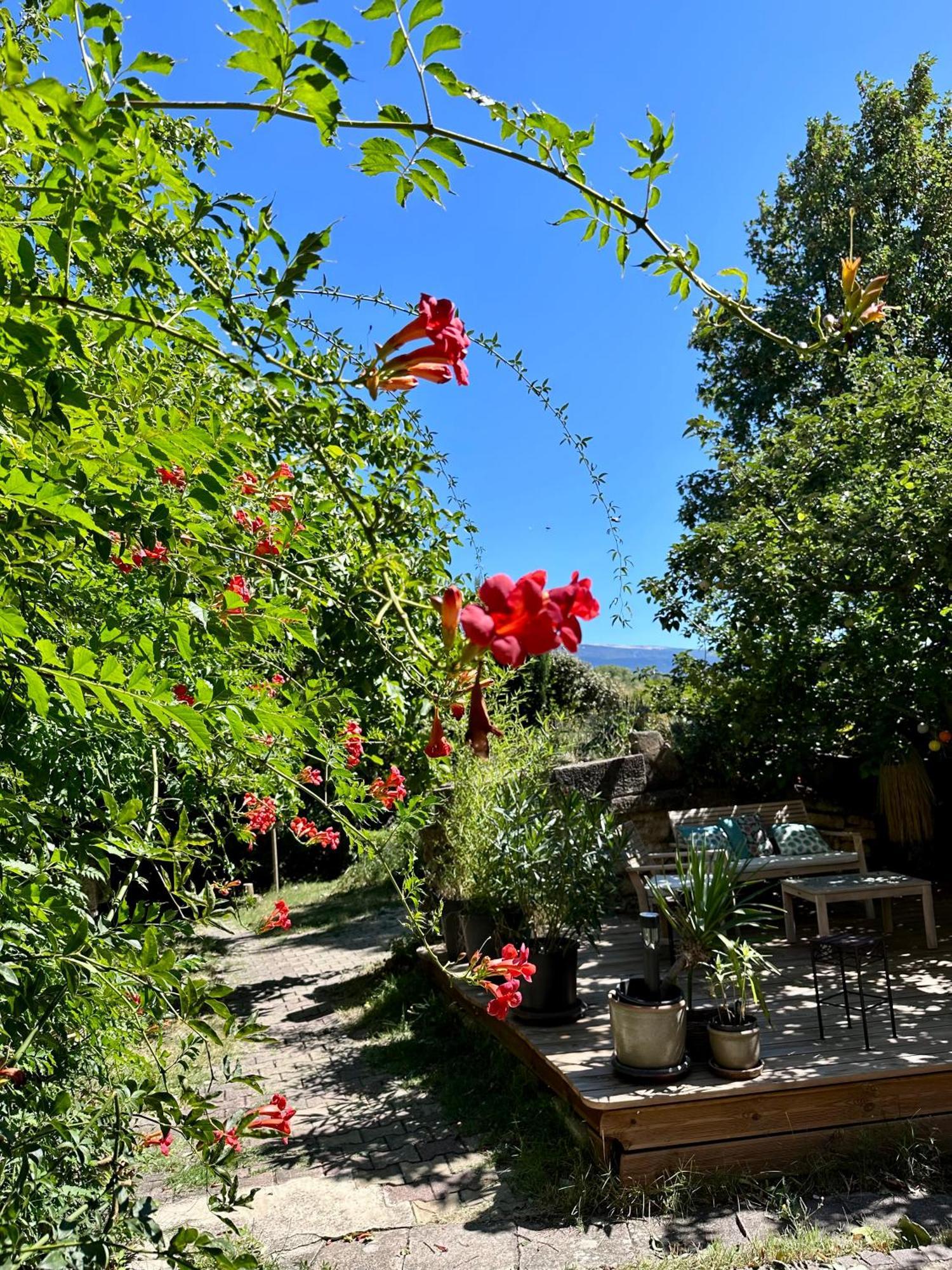 Moulin D'Antelon B&B Crillon-le-Brave Εξωτερικό φωτογραφία